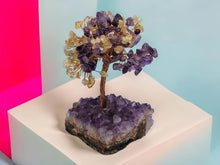 Load image into Gallery viewer, Feng Shui Amethyst/ Citrine Crystal Tree