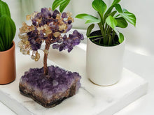 Load image into Gallery viewer, Feng Shui Amethyst/ Citrine Crystal Tree