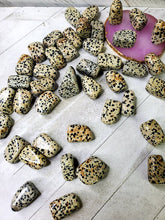 Load image into Gallery viewer, DALMATIAN JASPER TUMBLES