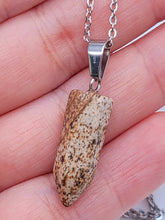 Load image into Gallery viewer, Elegant Picture Jasper Point Necklace - Silver Tone Unisex