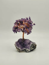 Load image into Gallery viewer, Feng Shui Amethyst Crystal Tree