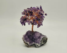 Load image into Gallery viewer, Feng Shui Amethyst Crystal Tree