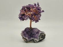 Load image into Gallery viewer, Feng Shui Amethyst Crystal Tree