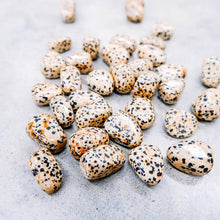 Load image into Gallery viewer, DALMATIAN JASPER TUMBLES